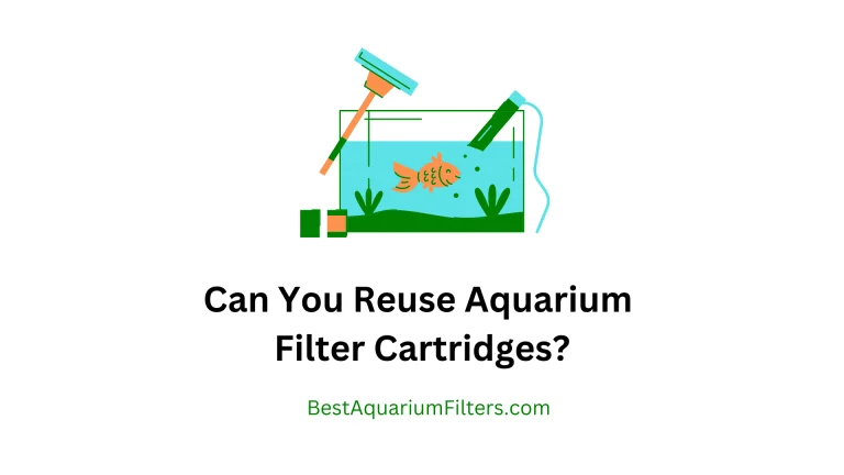 Can You Reuse Aquarium Filter Cartridges?