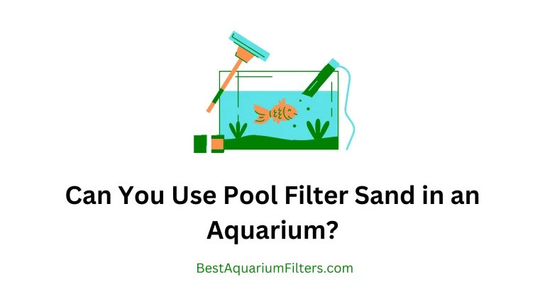 Can You Use Pool Filter Sand in an Aquarium?