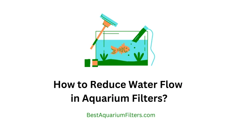 How to Reduce Water Flow in Aquarium Filters?