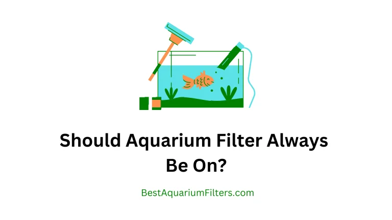 Should Aquarium Filter Always Be On?