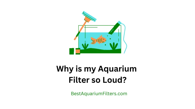 Why is my Aquarium Filter so Loud?